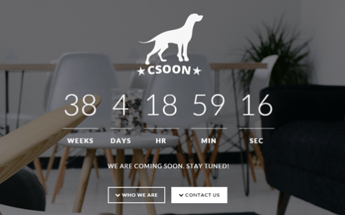 premium HTML/Bootstrap themes